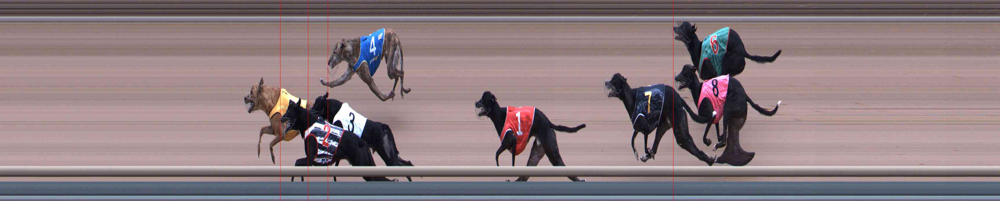 Photo finish for Healesville Race 2