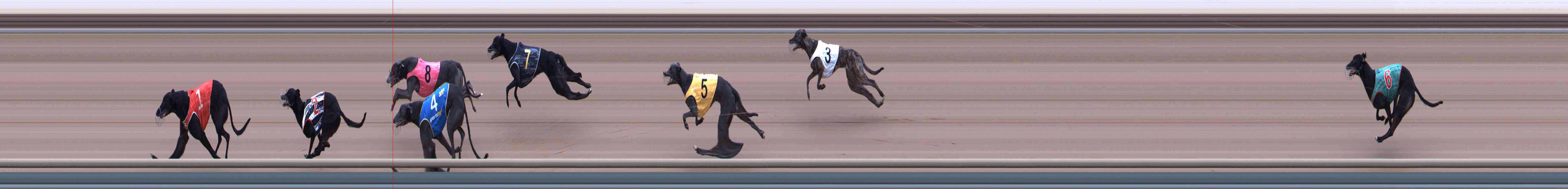 Photo finish for Healesville Race 3