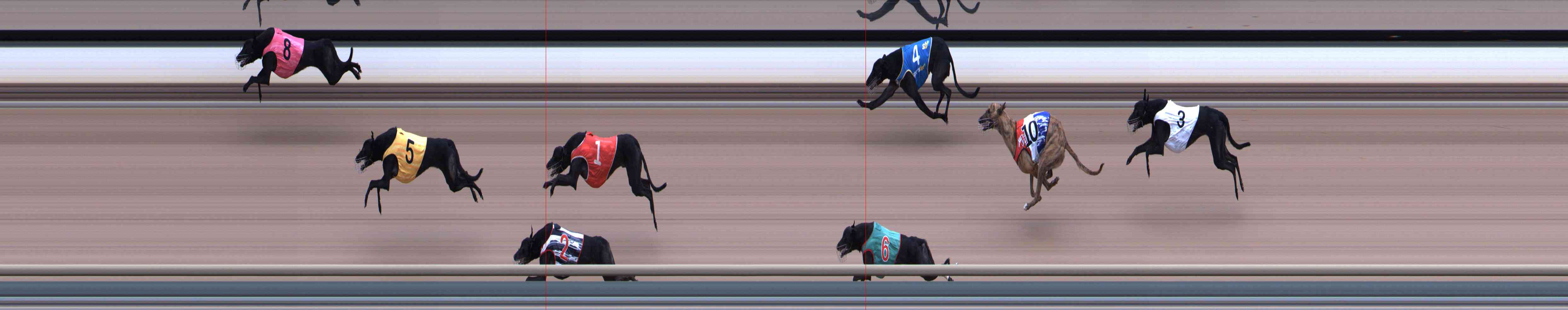 Photo finish for Healesville Race 4
