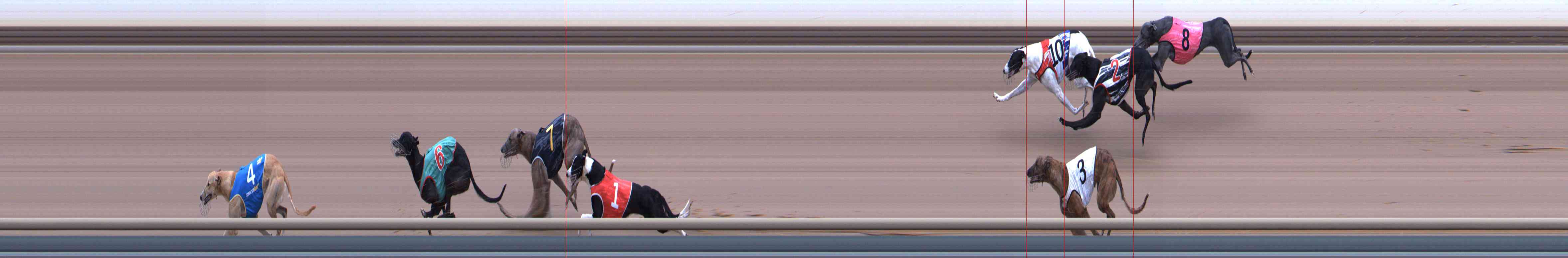Photo finish for Healesville Race 5
