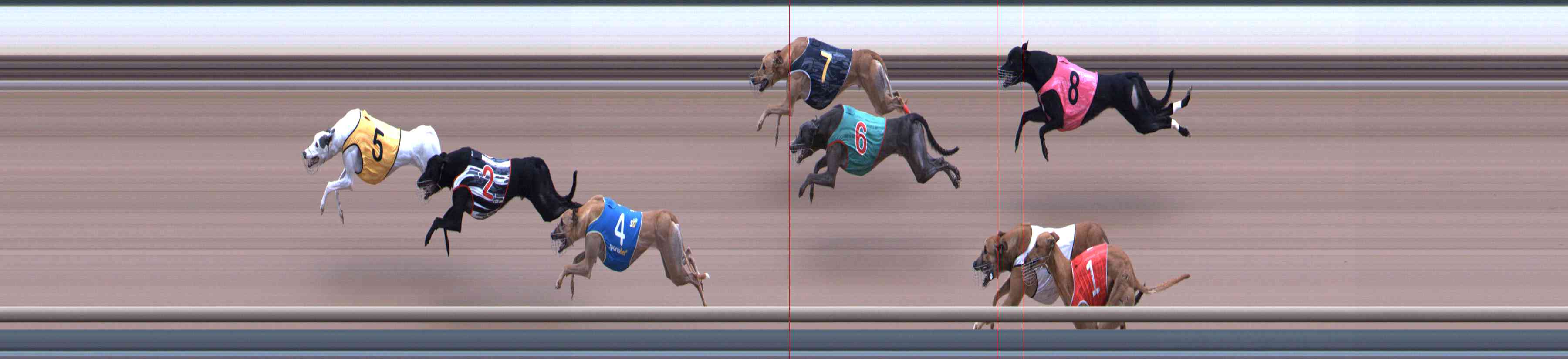 Photo finish for Healesville Race 6