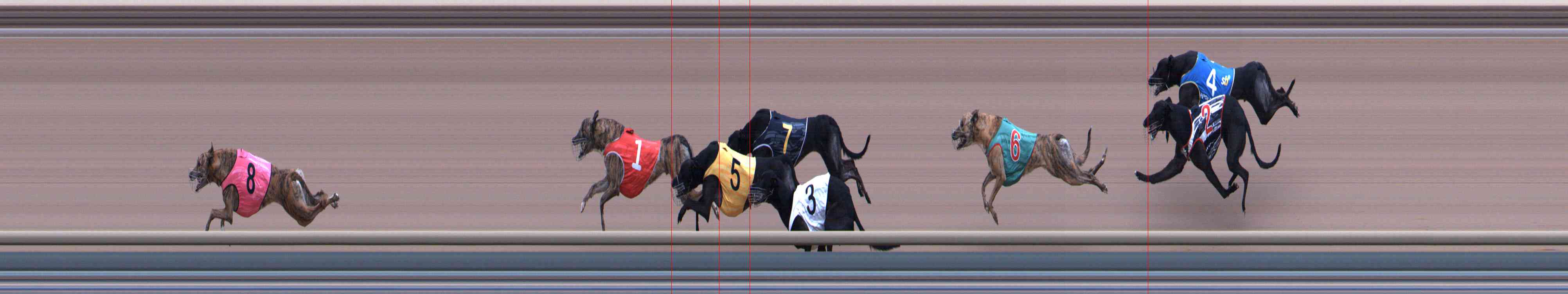 Photo finish for Healesville Race 8