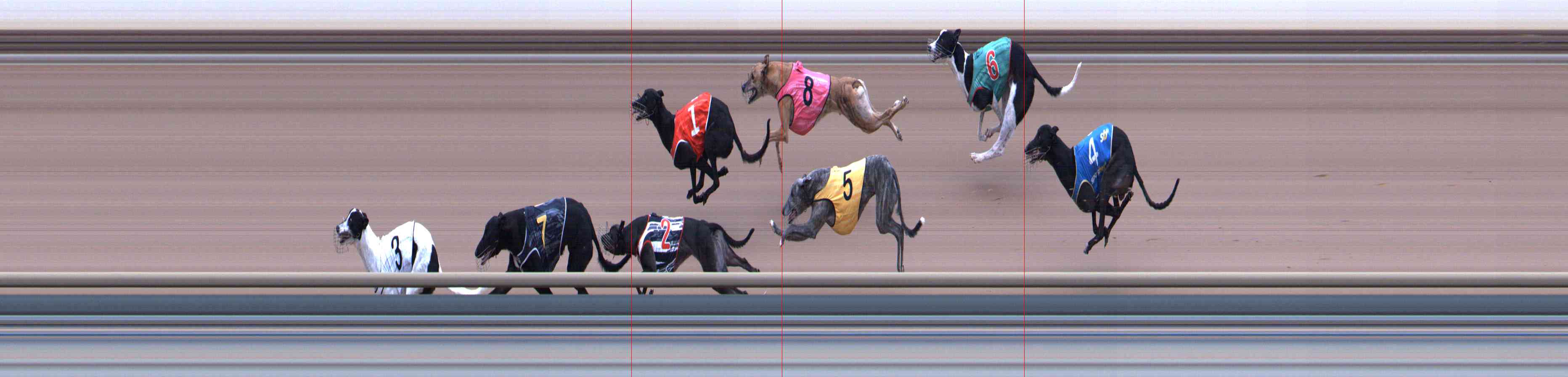 Photo finish for Healesville Race 9