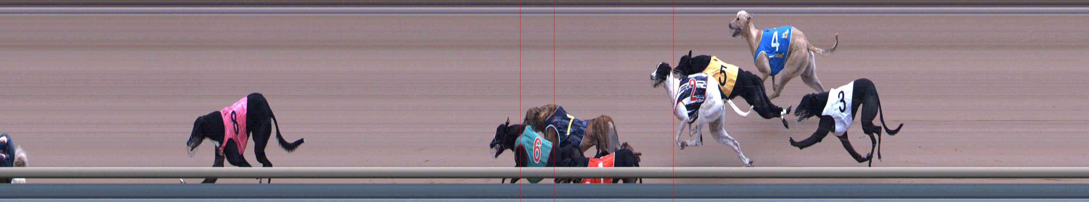 Photo finish for Healesville Race 10