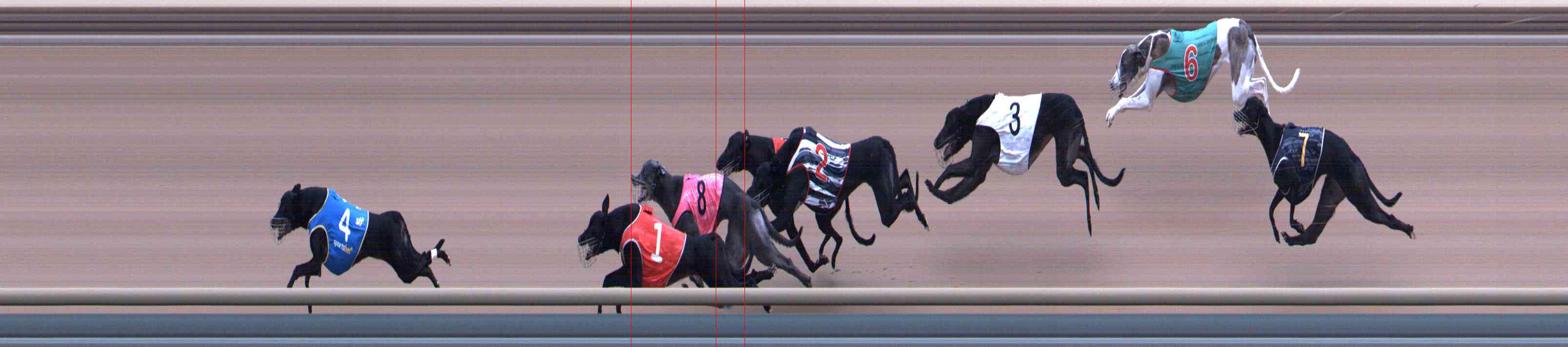 Photo finish for Healesville Race 11