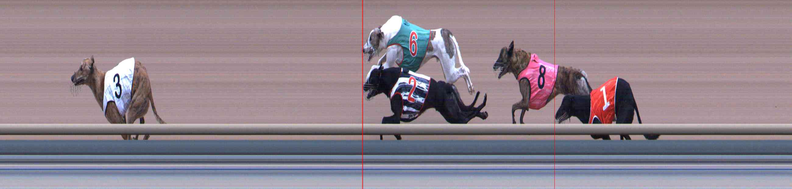 Photo finish for Healesville Race 12