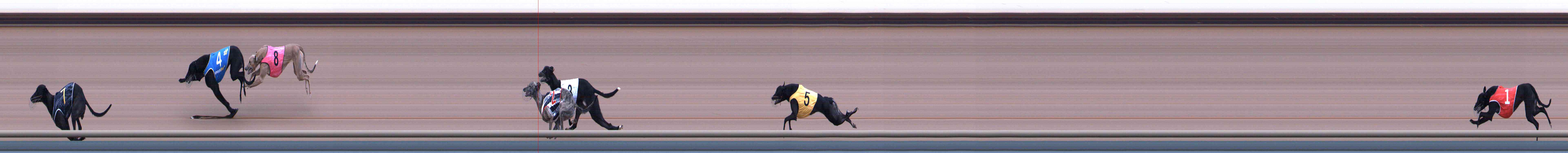 Photo finish for Healesville Race 1