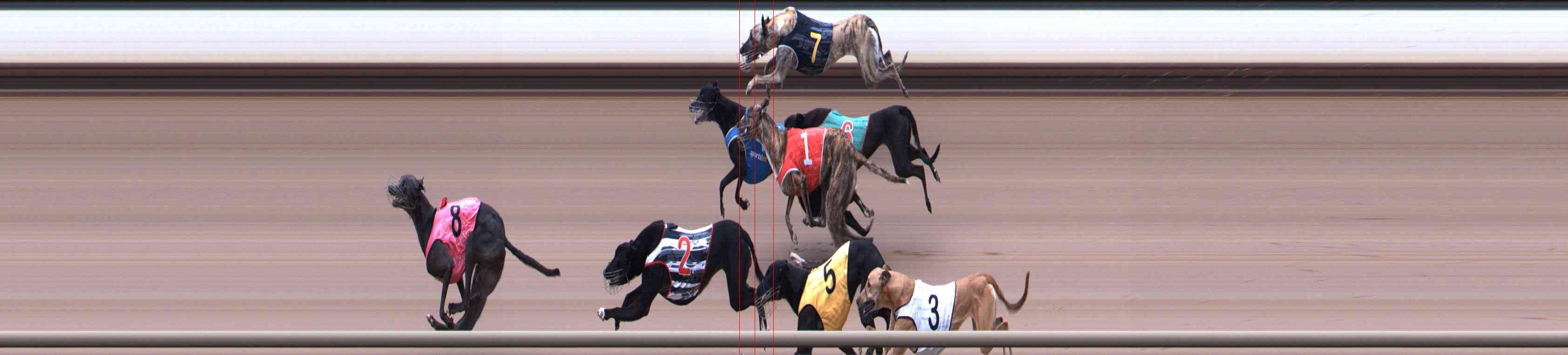 Photo finish for Healesville Race 2