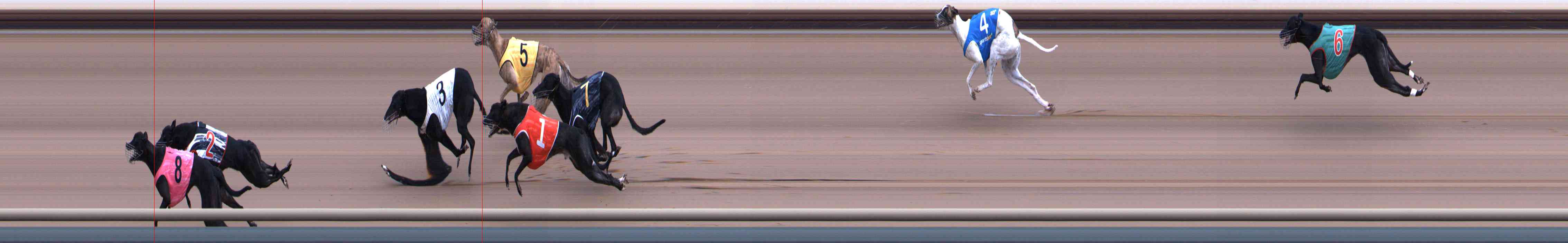 Photo finish for Healesville Race 3