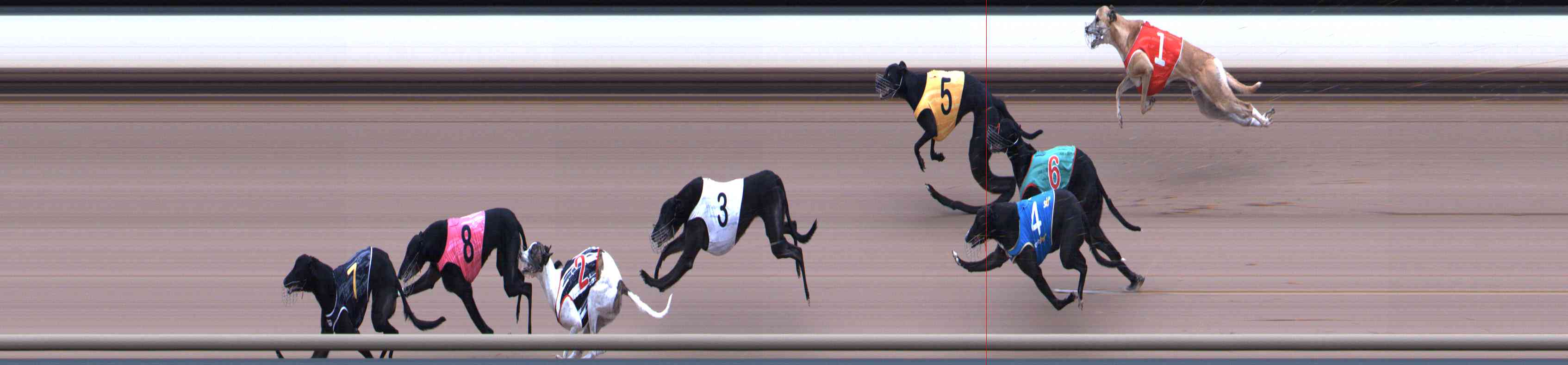Photo finish for Healesville Race 4