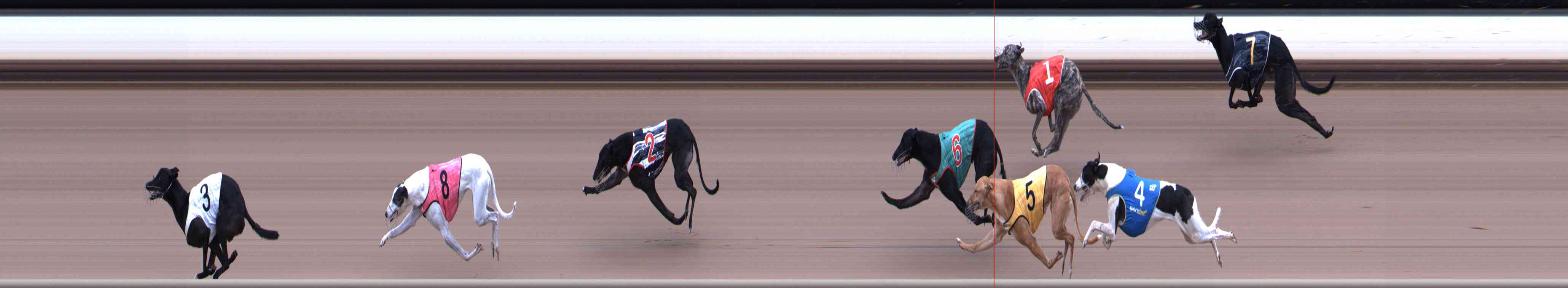 Photo finish for Healesville Race 5
