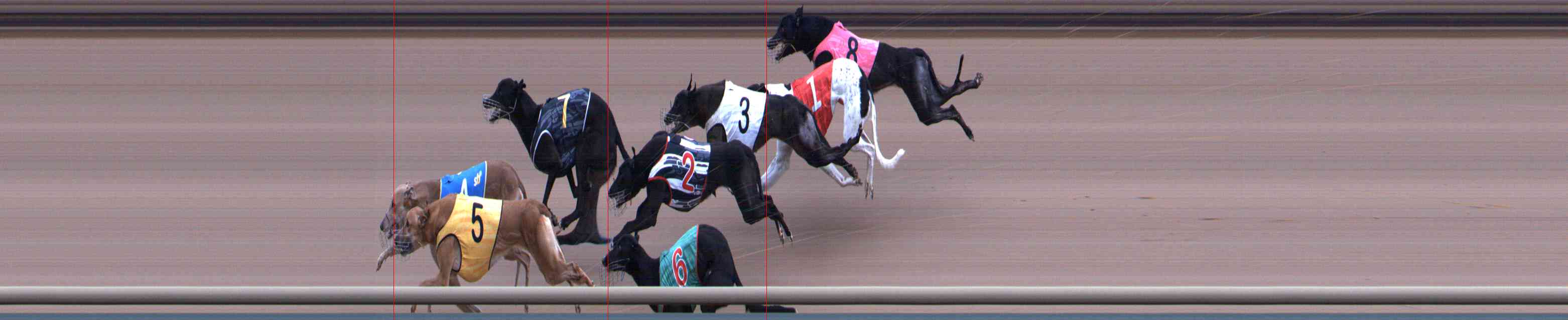 Photo finish for Healesville Race 7