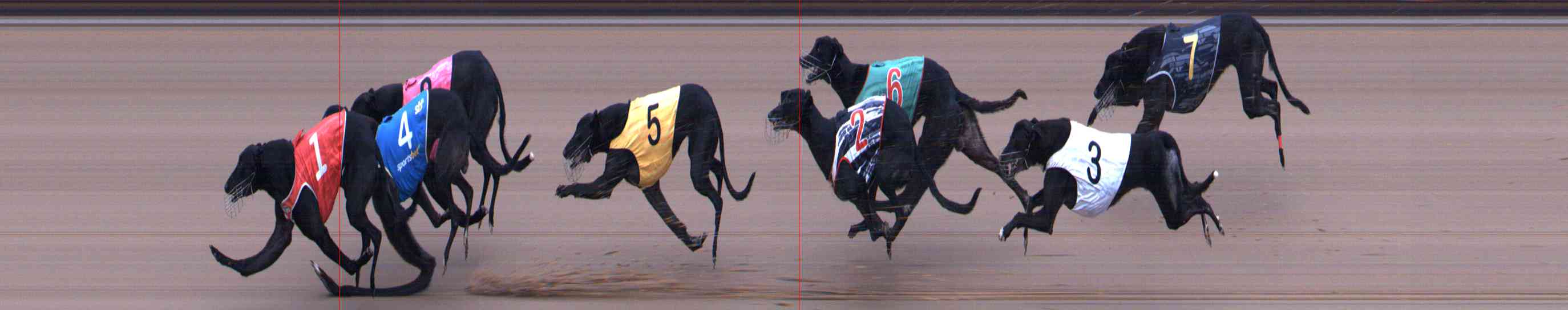 Photo finish for Healesville Race 8