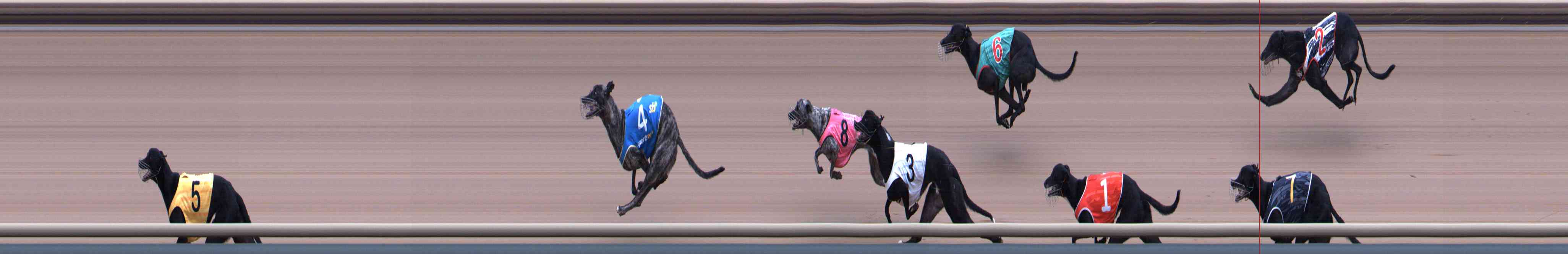 Photo finish for Healesville Race 9