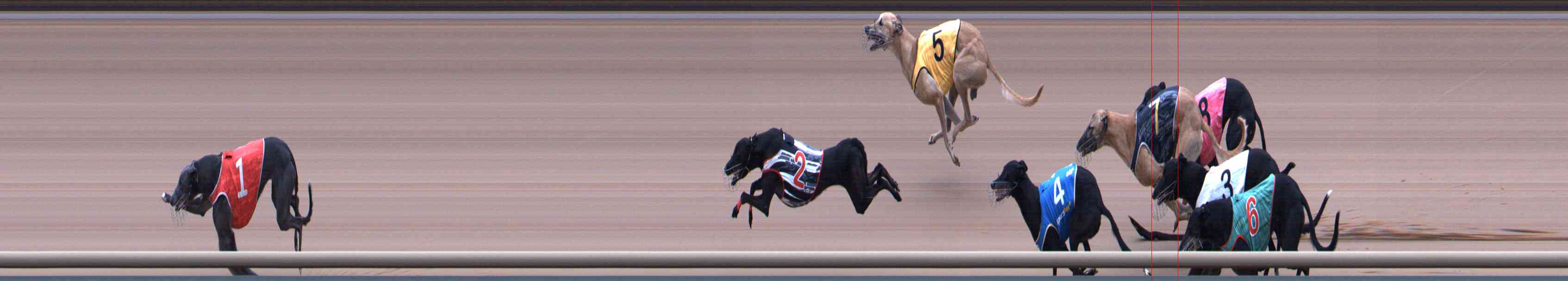 Photo finish for Healesville Race 10