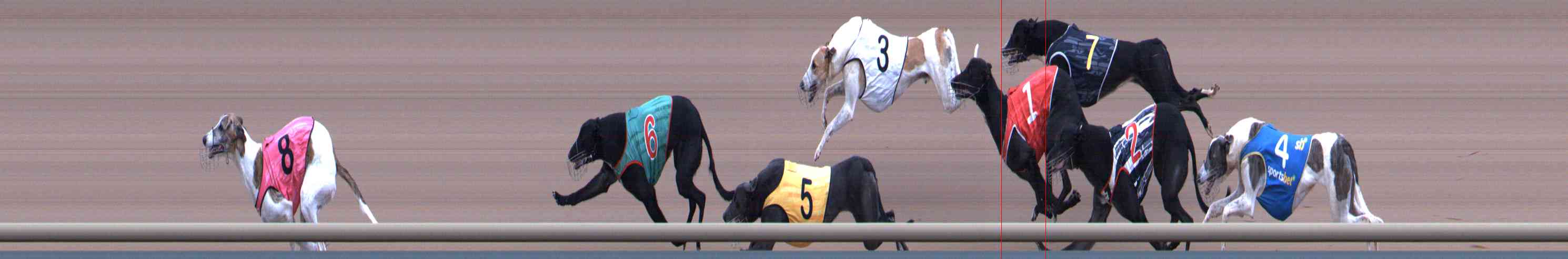 Photo finish for Healesville Race 11