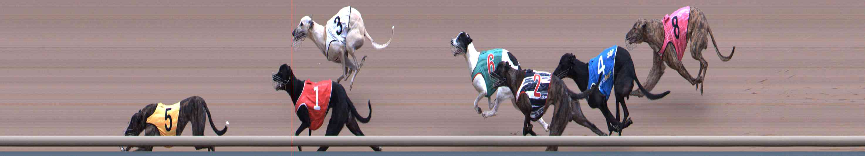 Photo finish for Healesville Race 12