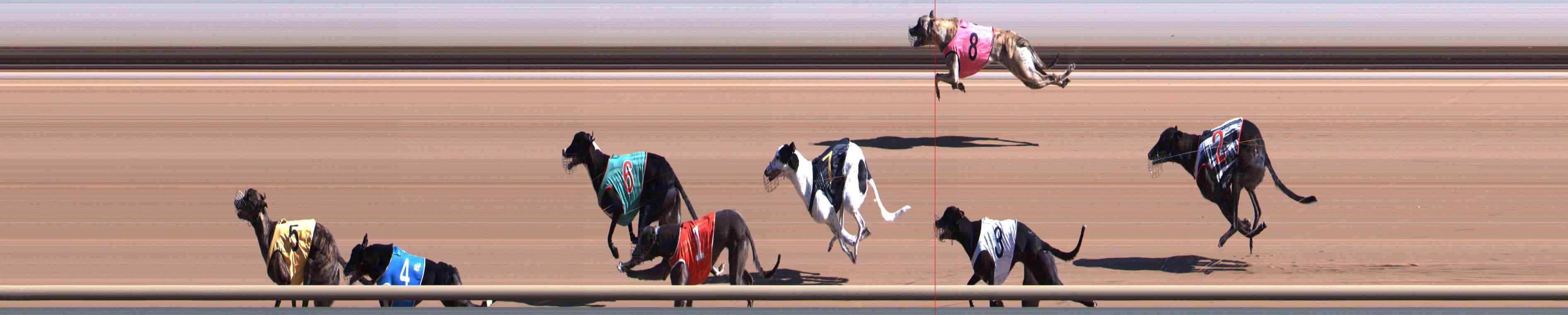 Photo finish for Healesville Race 1
