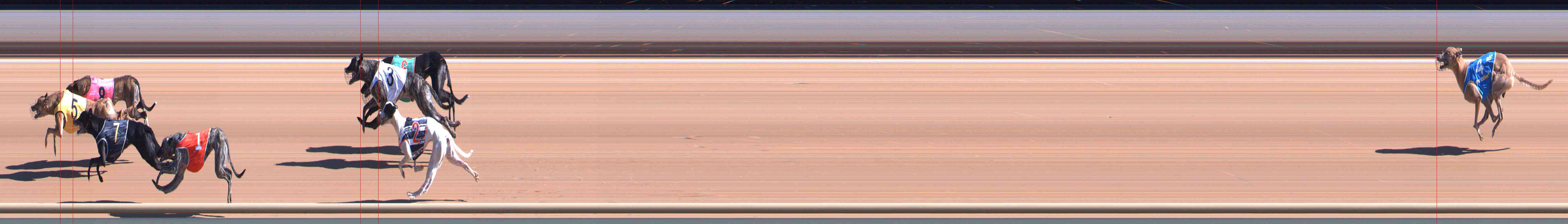 Photo finish for Healesville Race 2