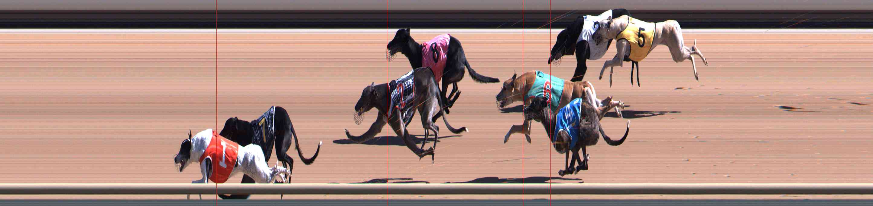 Photo finish for Healesville Race 3