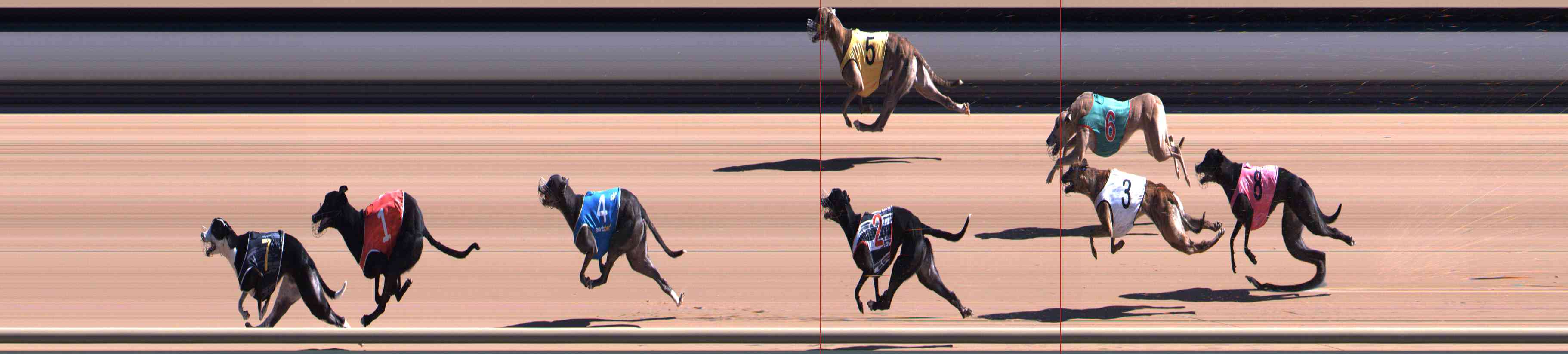 Photo finish for Healesville Race 4