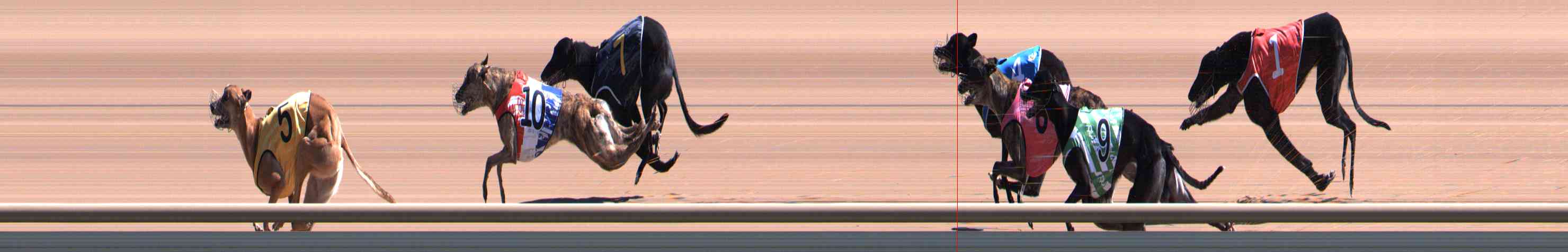 Photo finish for Healesville Race 5
