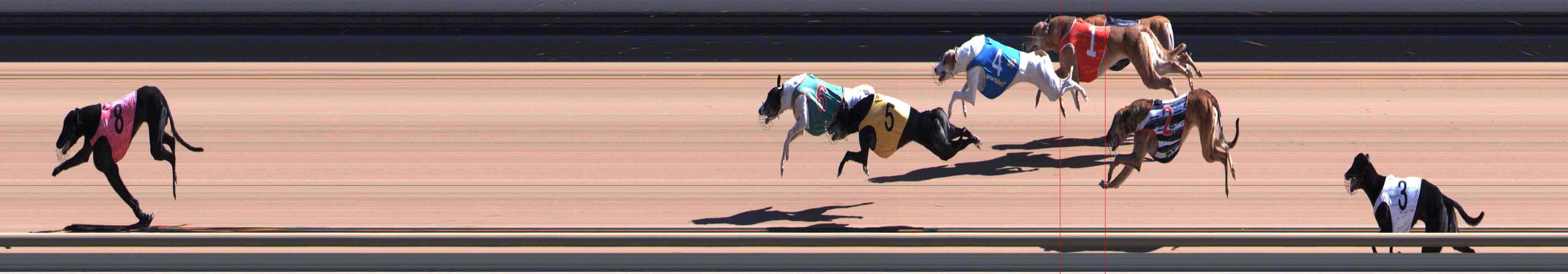 Photo finish for Healesville Race 6
