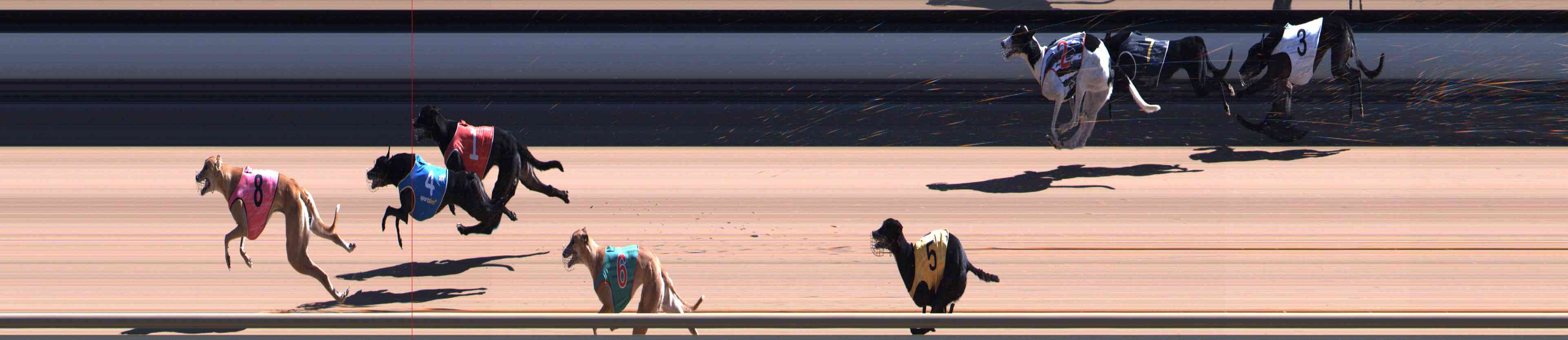 Photo finish for Healesville Race 7