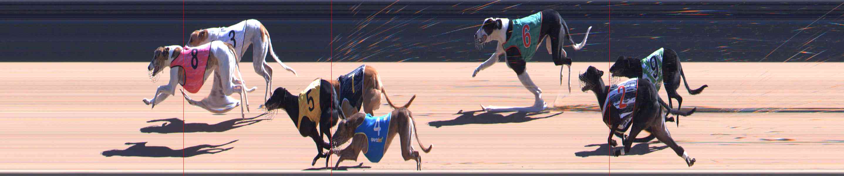 Photo finish for Healesville Race 8