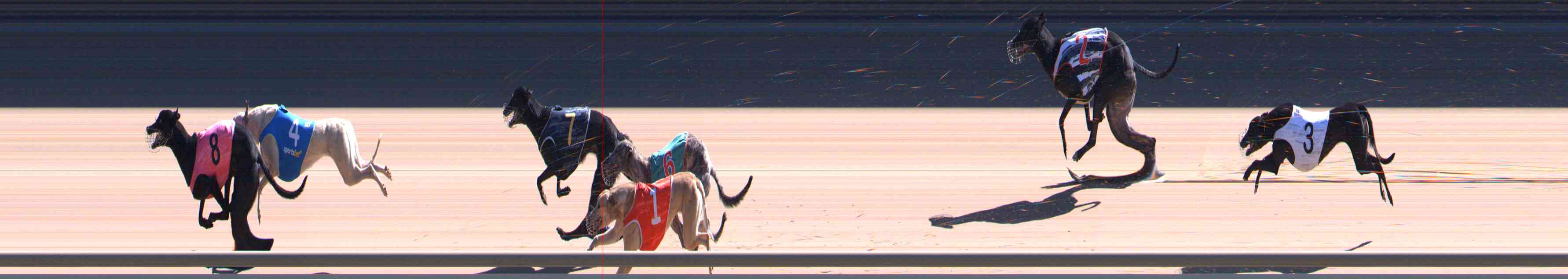 Photo finish for Healesville Race 9