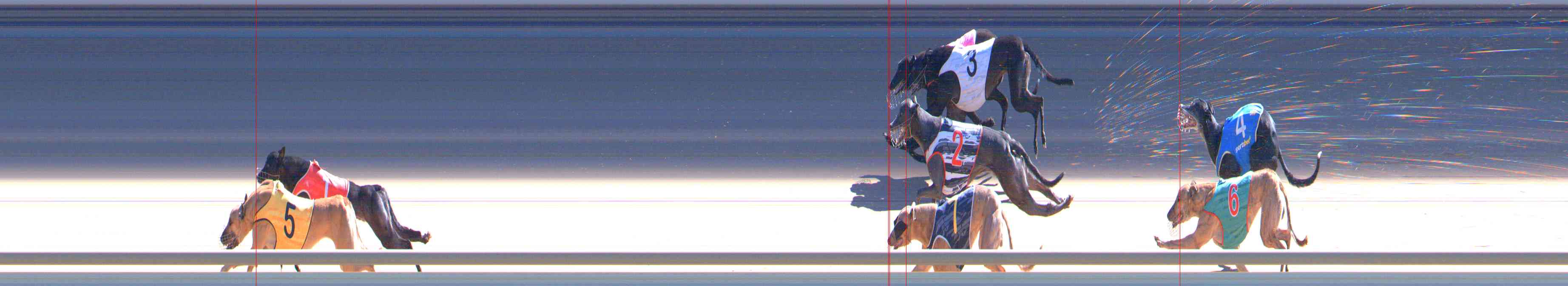 Photo finish for Healesville Race 10