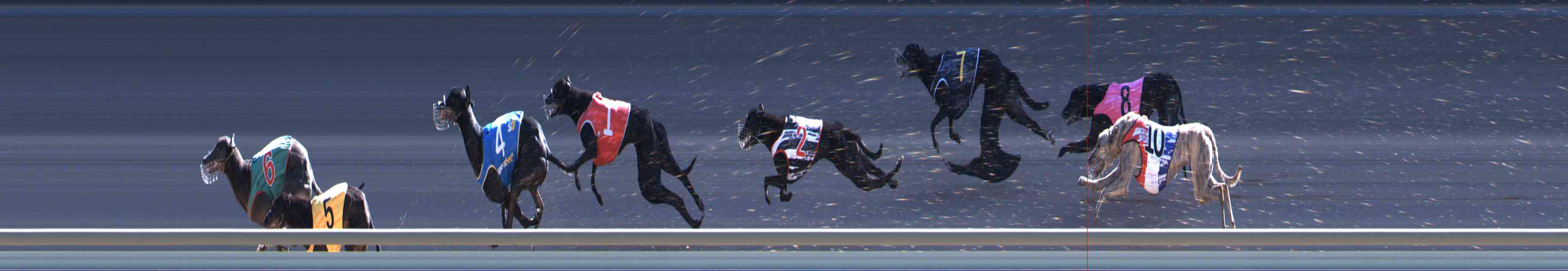 Photo finish for Healesville Race 11