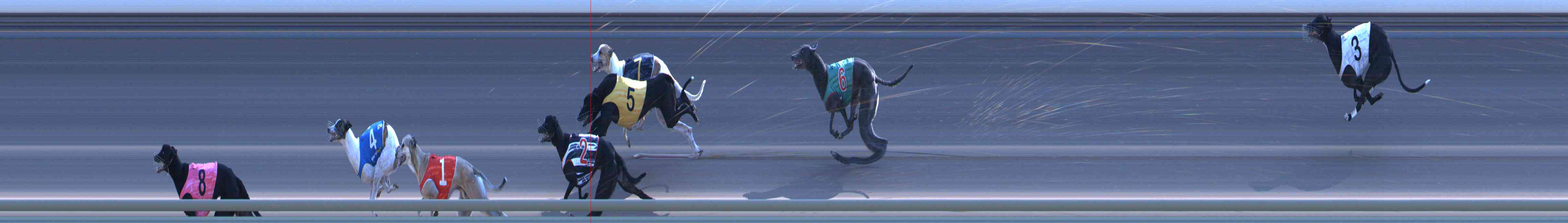 Photo finish for Healesville Race 12
