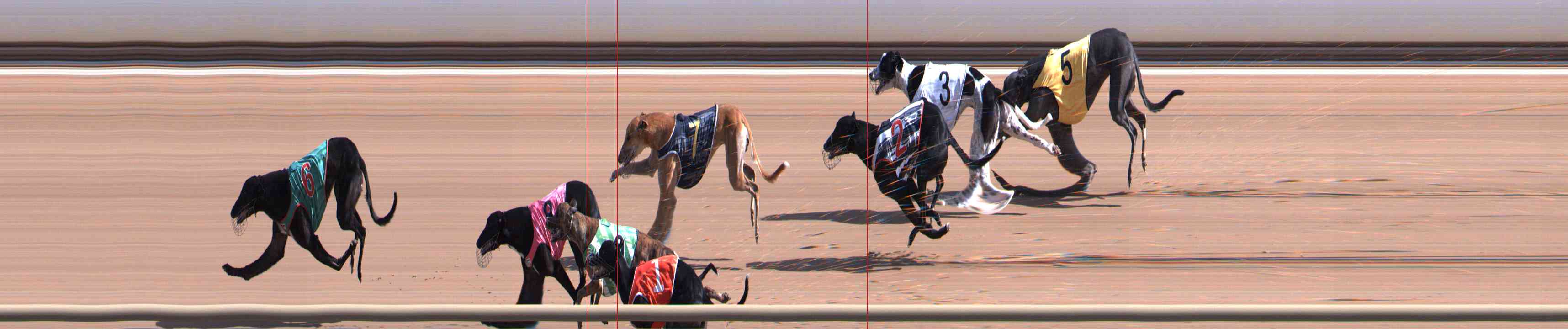 Photo finish for Healesville Race 1