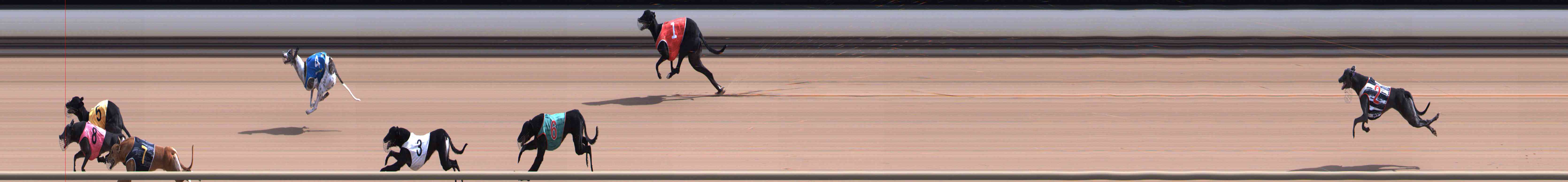 Photo finish for Healesville Race 3