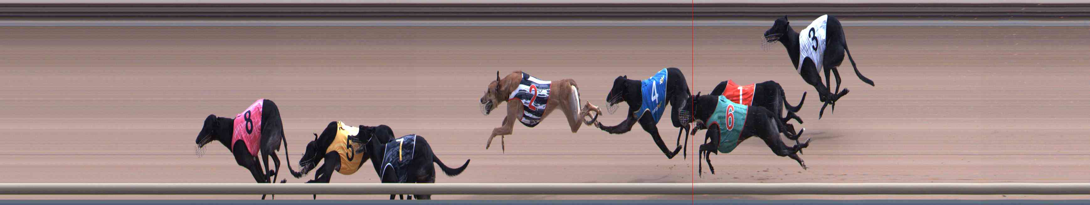 Photo finish for Healesville Race 4