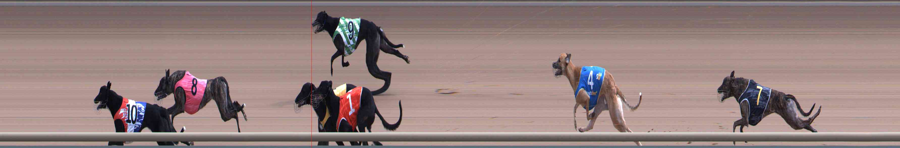 Photo finish for Healesville Race 5