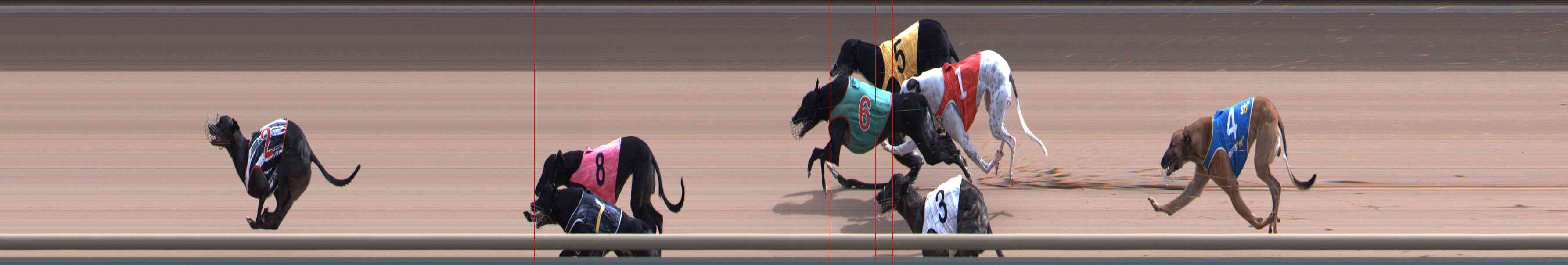 Photo finish for Healesville Race 6