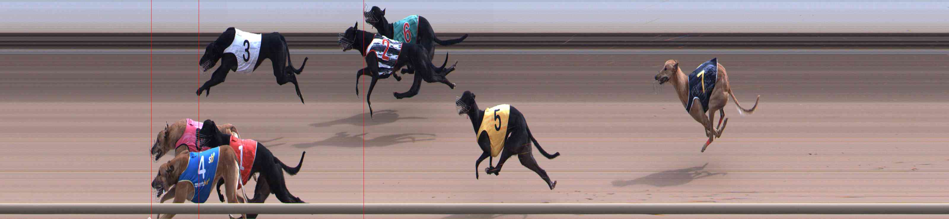 Photo finish for Healesville Race 7
