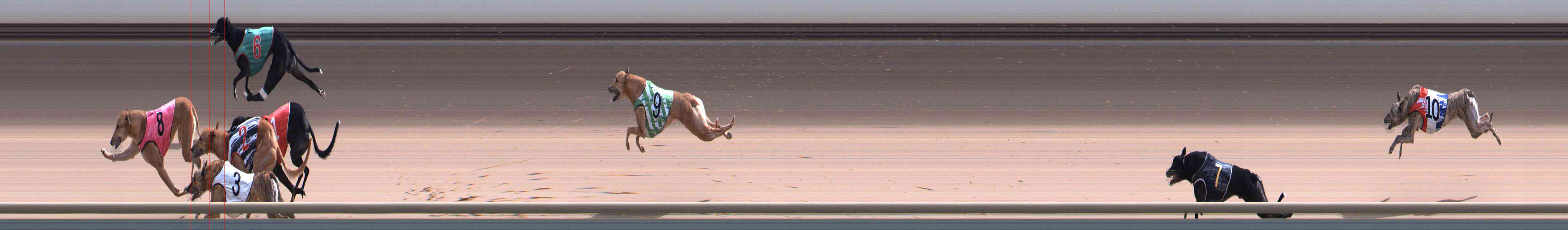 Photo finish for Healesville Race 8