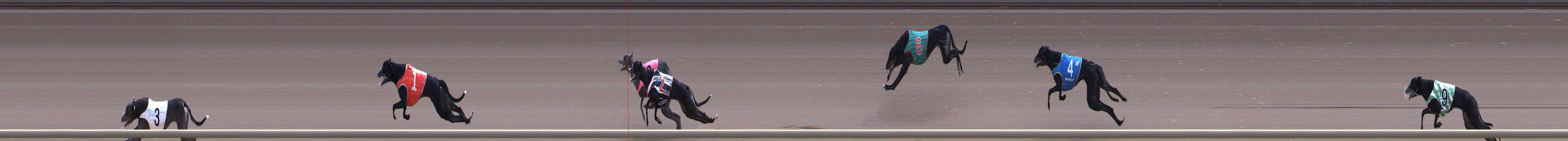 Photo finish for Healesville Race 10