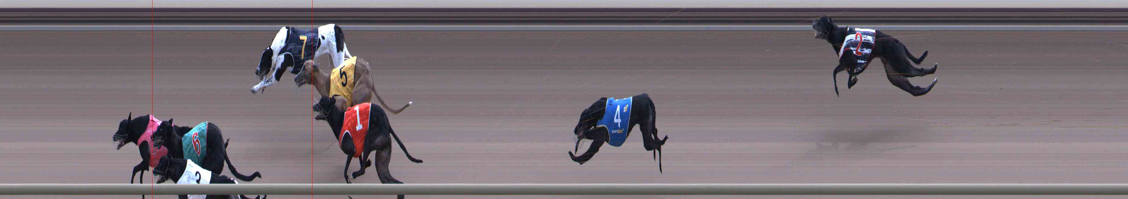 Photo finish for Healesville Race 12