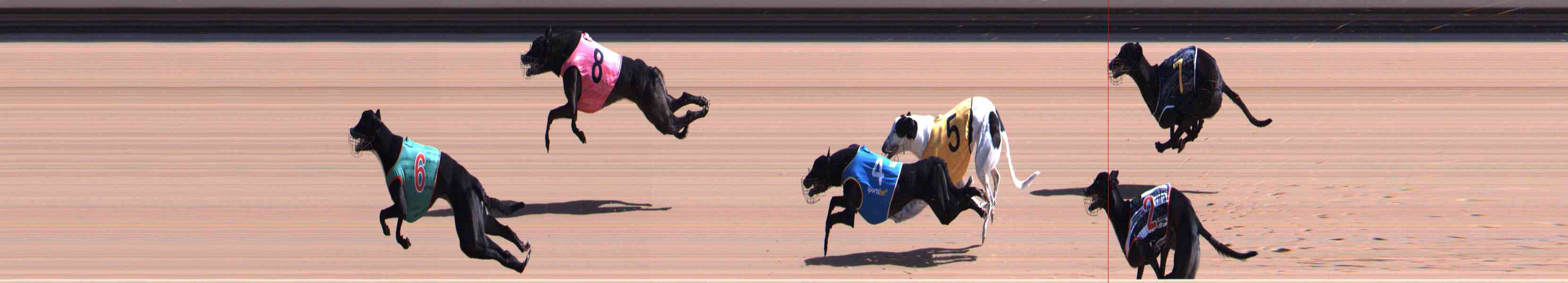 Photo finish for Healesville Race 1