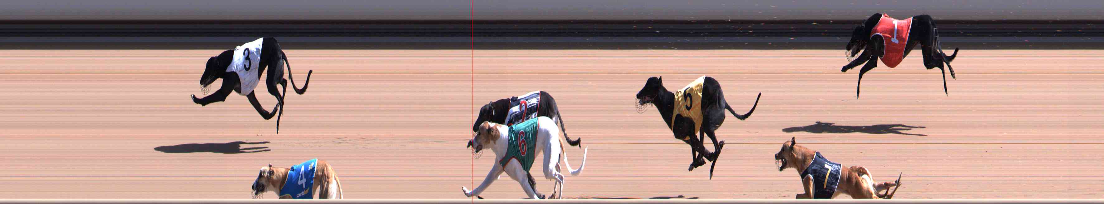 Photo finish for Healesville Race 2