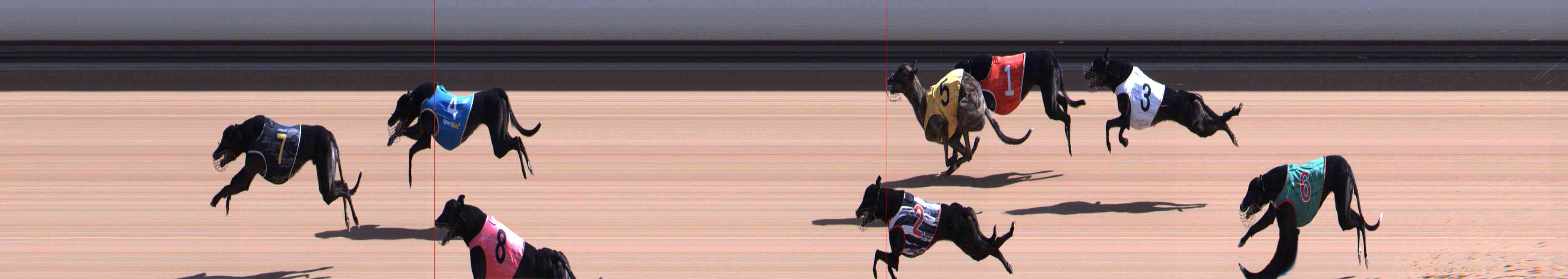 Photo finish for Healesville Race 3