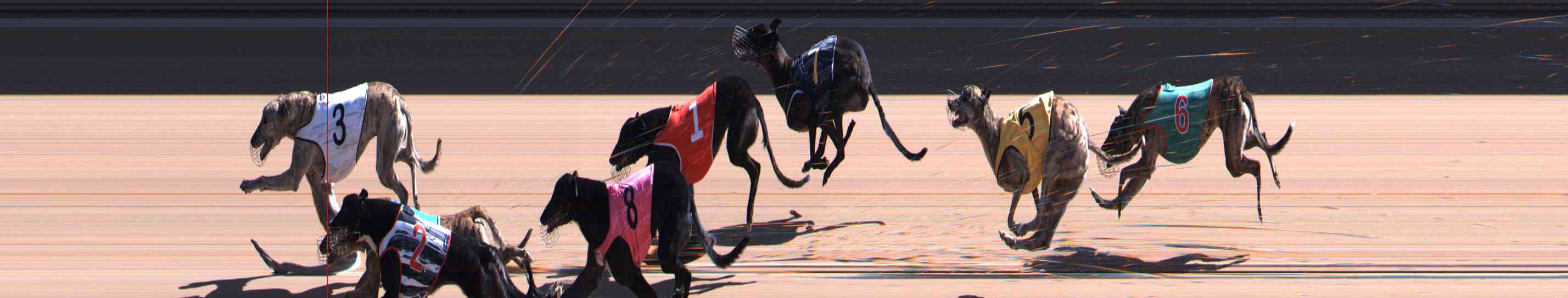Photo finish for Healesville Race 5