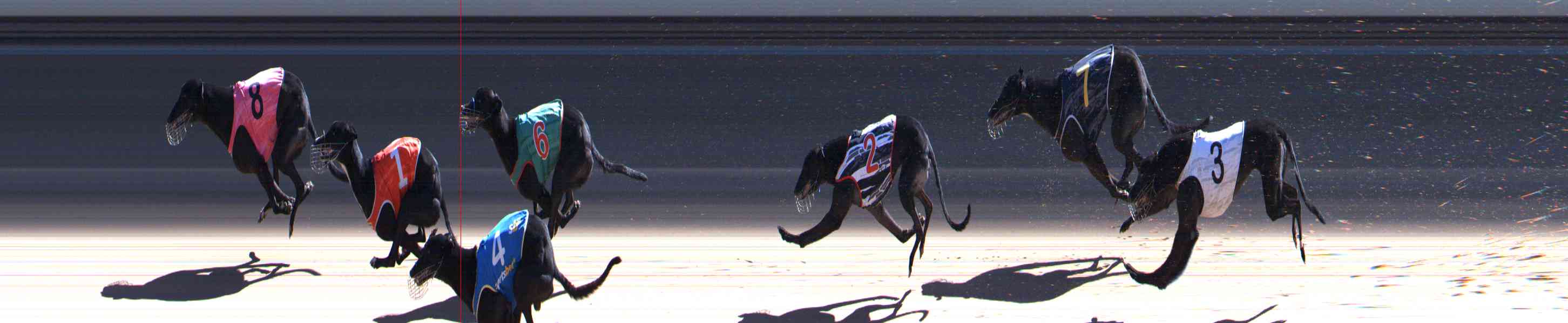 Photo finish for Healesville Race 7