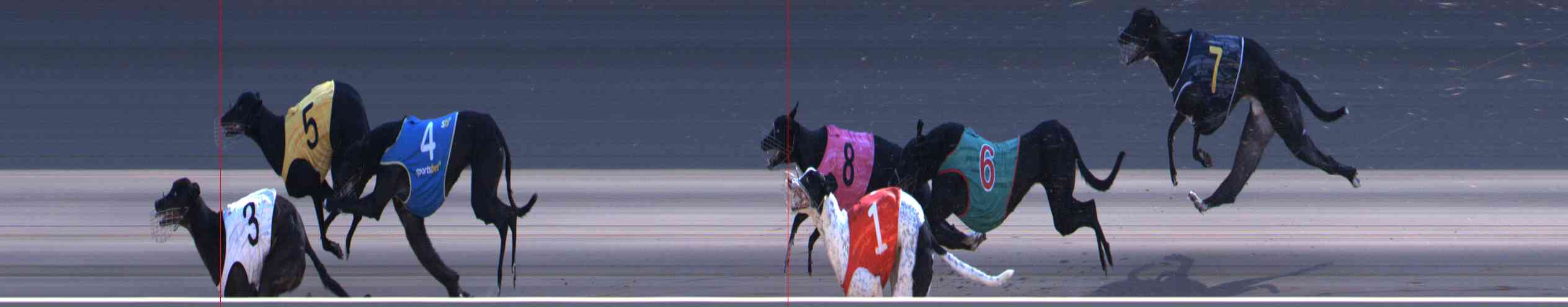Photo finish for Healesville Race 9