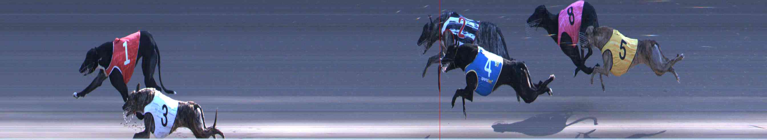 Photo finish for Healesville Race 10