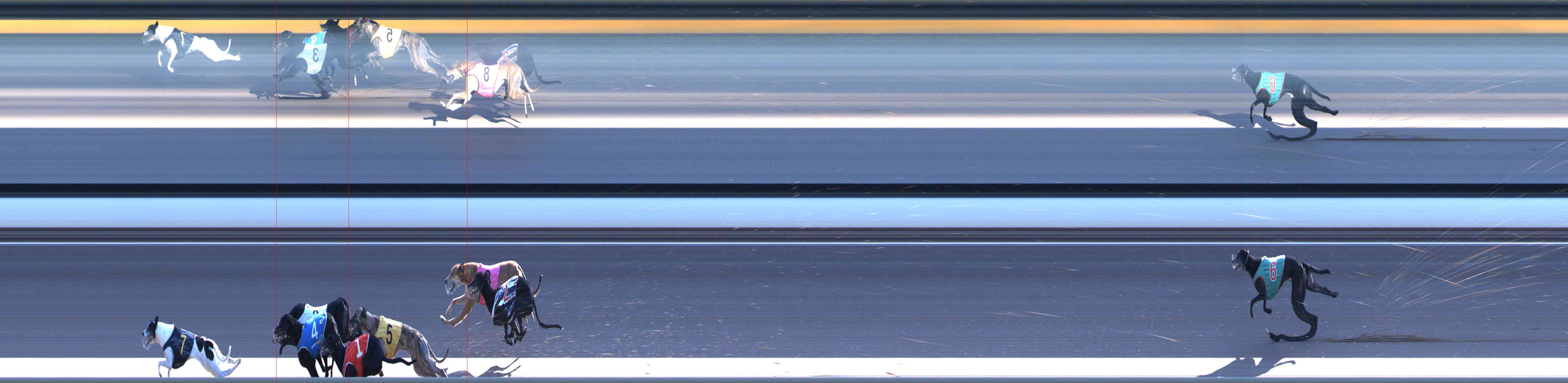 Photo finish for Healesville Race 11